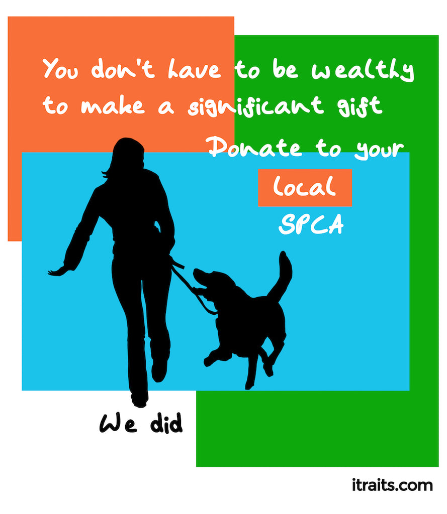 Donate to your local SPCA
