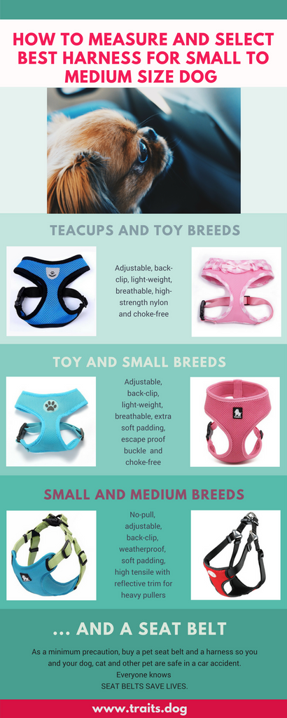 How to measure and select best harness for small to medium size dog