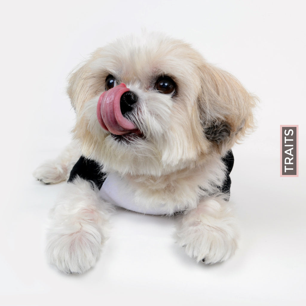 DOGS ARE PEOPLE TOO - Dog's graphic T-shirt