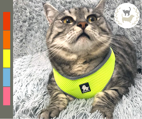 Dog or Cat Harness - Breathable Mesh Nylon, Extra Soft for Small Breeds
