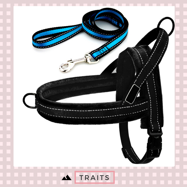 Easy To Walk Set - Reflective Dog or Cat Dual Clip Harness with Soft Handle and Leash Set