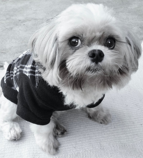 Plaid Soft Fleece Dog's Hoodie