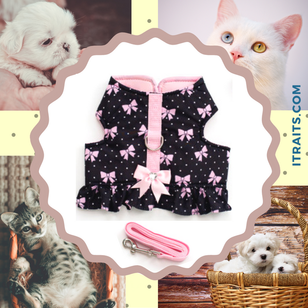 Sweet Pea - Soft Padded Vest Harness and Leash Set for Small Dog or Cat