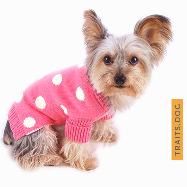 Soft, well-made and adorable Pink Polka Dot Dog Cat Sweater for small breeds. Keeps your dog, cat or other pet warm this holiday season or throughout the year. Comfortable and super coz