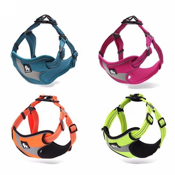 Well-constructed Reflective Dog's Vest Sport Vest Harness is made of premium quality, weatherproof materials and durable hardware. No pull, No choke - Safe, comfortable, convenient and durable for walking, running, hiking and riding in vehicles. NOT RECOMMENDED FOR DOGS UNDER 10 lbs.