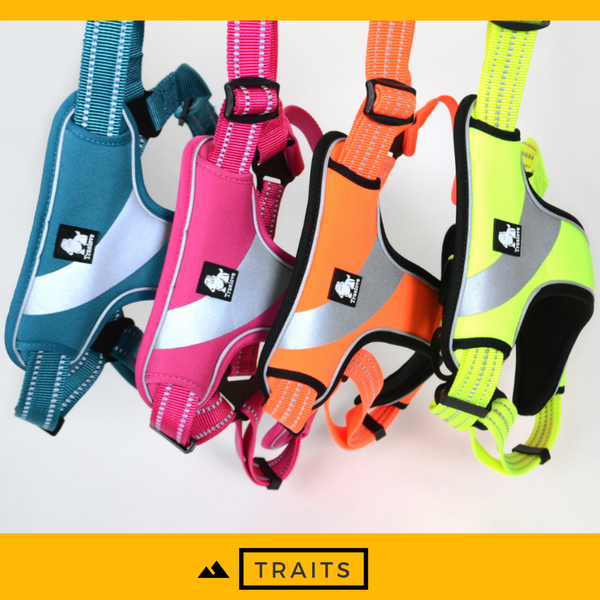 Brite Vibes - Reflective Dog's Vest Harness for Larger Breeds