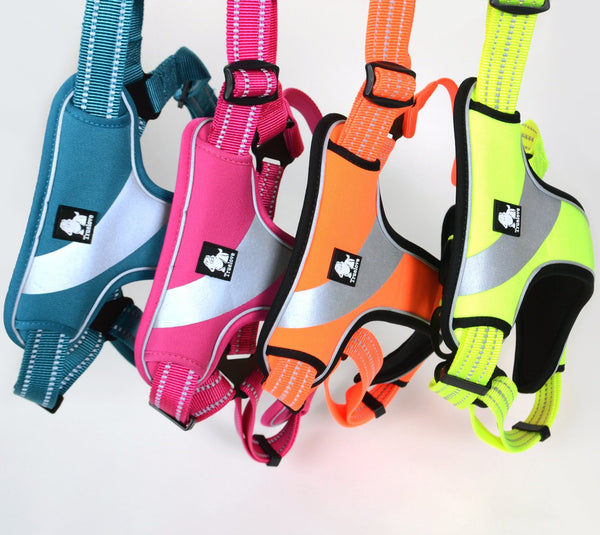 Well-constructed Reflective Dog's Vest Sport Vest Harness is made of premium quality, weatherproof materials and durable hardware. No pull, No choke - Safe, comfortable, convenient and durable for walking, running, hiking and riding in vehicles. NOT RECOMMENDED FOR DOGS UNDER 10 lbs.