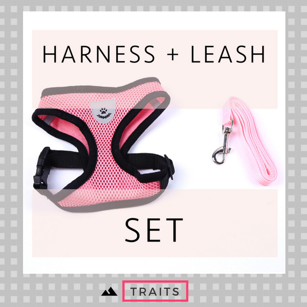 Durable Nylon and Polyester Mesh, Breathable, Reflective Dog's and Cat's Vest harness and leash set is made for sma
