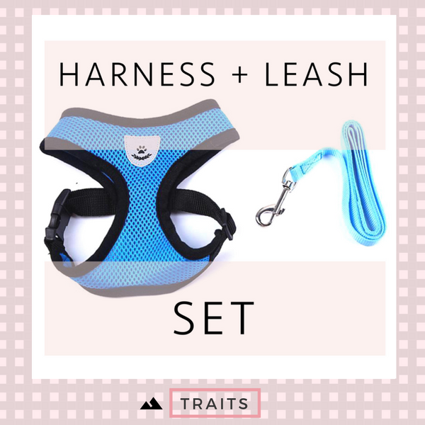Durable Nylon and Polyester Mesh, Breathable, Reflective Dog's and Cat's Vest harness and leash set is made for sma