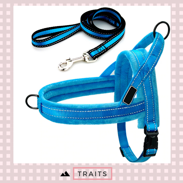 Easy To Walk Set - Reflective Dog or Cat Dual Clip Harness with Soft Handle and Leash Set