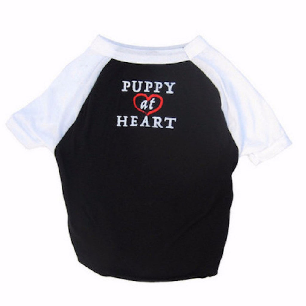 Soft, superior quality Dog's T-shirt with cute graphic art is made to fit your dog's body comfortably. Perfect for all year round. Bright, fun and adorable.