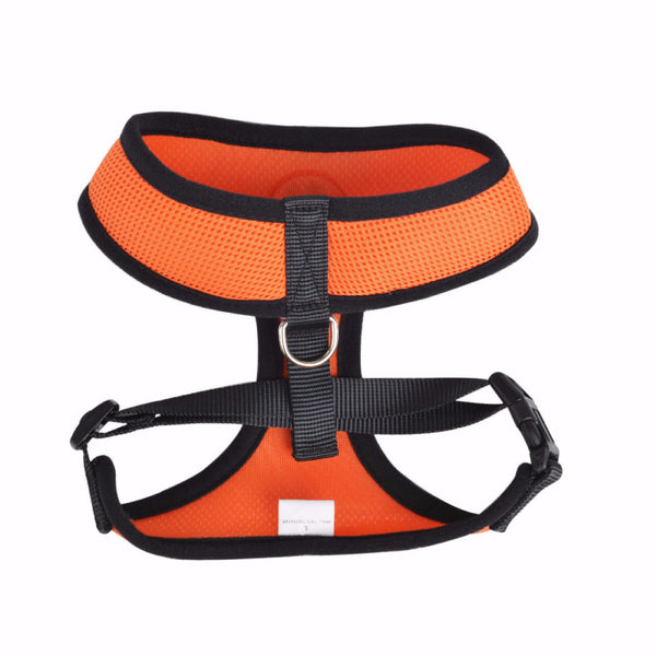 Paw Print - Vest Harness and Leash Set for Small Dog or Cat