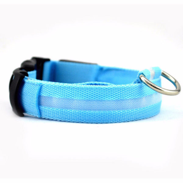 LED Glow Adjustable Dog Cat Collar for night visibility to keep your pet safe from oncoming cars, bicyclists, pedestrians and any outdoor activities. Orange LED collar makes Halloween fun for your Dog!