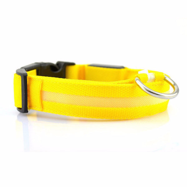 LED Glow Adjustable Dog Cat Collar for night visibility to keep your pet safe from oncoming cars, bicyclists, pedestrians and any outdoor activities. Orange LED collar makes Halloween fun for your Dog!