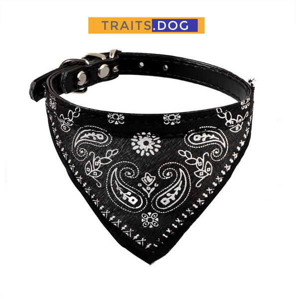 Classic American Paisley Dog Bandana Collar XX-Small to X-Large