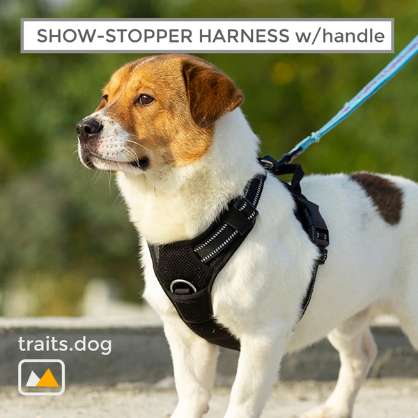 Well-constructed Reflective, Dual Clip Vest Dog's harness with Handle is made of premium quality, weatherproof materials and durable hardware. No Pull, No Choke - Safe, comfortable, convenient and durable for walking, running, hiking and riding in vehicles.