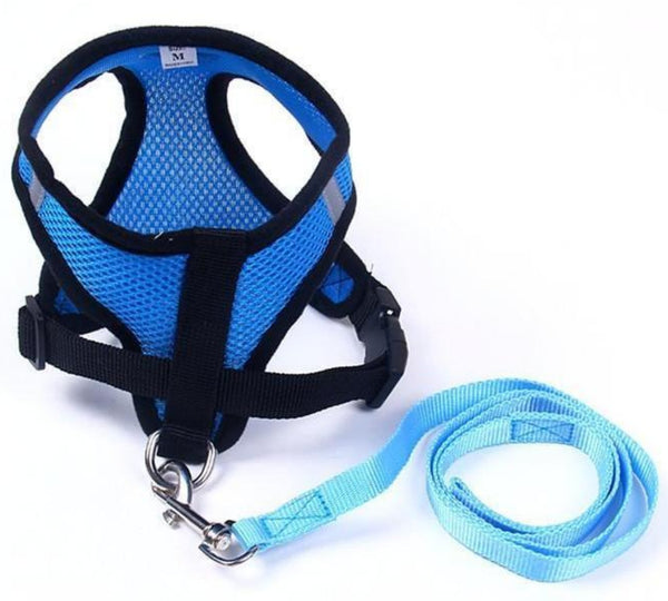 Durable Nylon and Polyester Mesh, Breathable, Reflective Dog's and Cat's Vest harness and leash set is made for sma