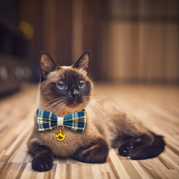 A beautifully handmade Classic Plaid Bowtie collar for your small dog, cat or other four-legged friend: perfect for special occasions, decorated with a cute bell, makes your pup pop at any celebration, wedding or get together.