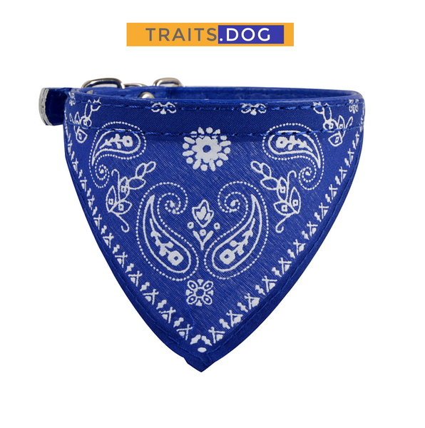 Classic American Paisley Dog Bandana Collar XX-Small to X-Large