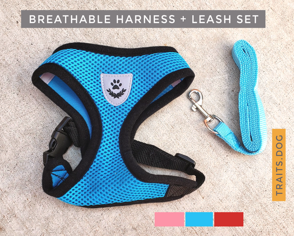 Durable Nylon and Polyester Mesh, Breathable, Reflective Dog's and Cat's Vest harness and leash set is made for sma