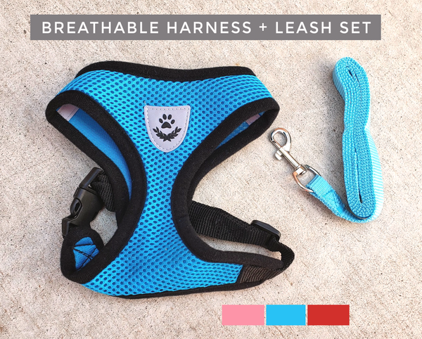 Durable Nylon and Polyester Mesh, Breathable, Reflective Dog's and Cat's Vest harness and leash set is made for sma