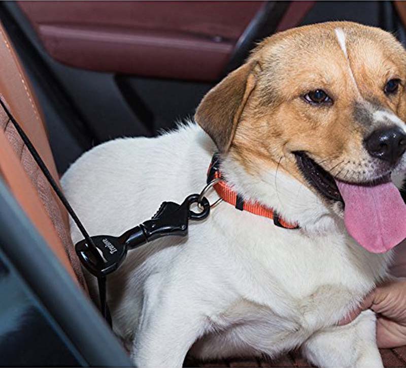 Dog Seat Belt Attachment - Universal Fit, Portable for Medium to Large Dog