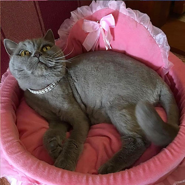 Handmade Pearl Collar with Rhinestones for Small Dog or Cat for holidays, weddings, birthdays, special occasions or simple family gatherings. Pamper your small dog or cat with this jeweled collar and they will shine in those family holiday photos.