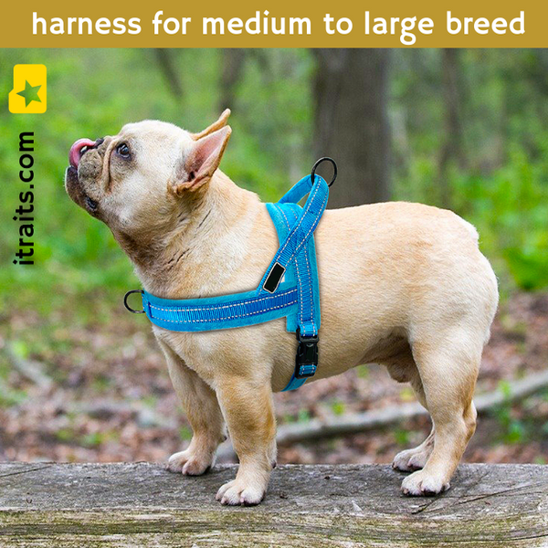 Easy To Walk Set - Reflective Dog or Cat Dual Clip Harness with Soft Handle and Leash Set