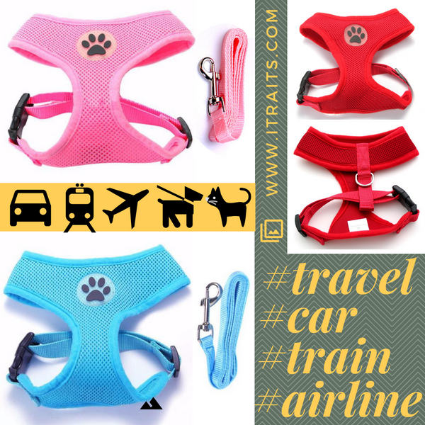 Paw Print - Vest Harness and Leash Set for Small Dog or Cat