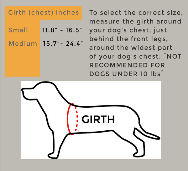 FlowerUp Your Pup - Reflective Dog Cat Vest Harness with Leash