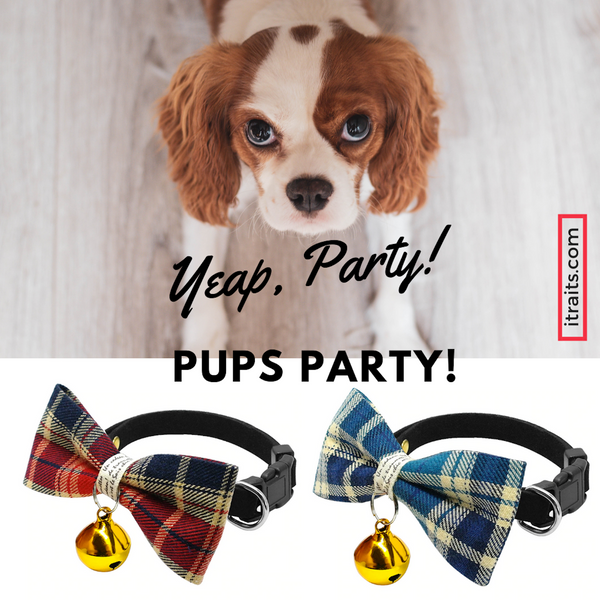 A beautifully handmade Classic Plaid Bowtie collar for your small dog, cat or other four-legged friend: perfect for special occasions, decorated with a cute bell, makes your pup pop at any celebration, wedding or get together.
