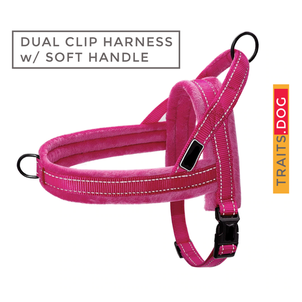 Easy To Walk - Reflective Dog or Cat Dual Clip Harness with Soft Handle