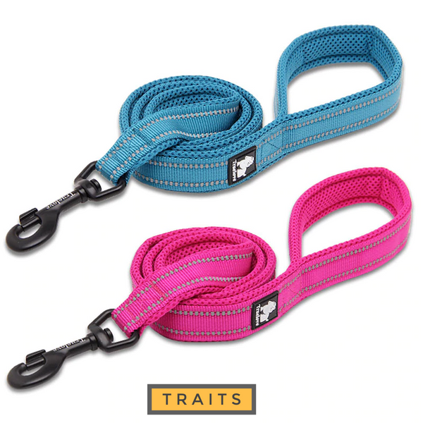 IDEAL Reflective Dog's Soft Padded Leash with High-strength Swivel Hook