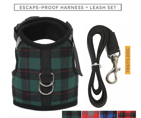 Naughty Plaid Adjustable Harness and Leash with Escape Proof Buckle for Dog and Cat