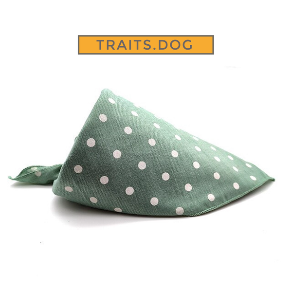 Playtime Dog or Cat Bandana Scarf for Small Breeds