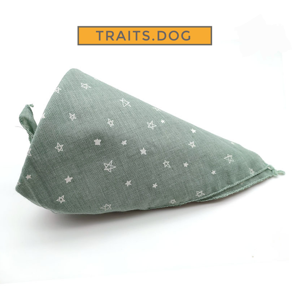Playtime Dog or Cat Bandana Scarf for Small Breeds