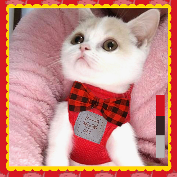 Extra soft mesh cat harness and leash set are designed for cats to distribute the pressure through the chest and shoulders, not on the neck.