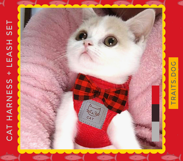 Kitty Galore - Cat Harness and Leash Set