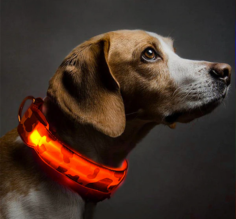 Light Me Up - LED Glow Adjustable Camouflage Dog Cat Collar for Night Visibility