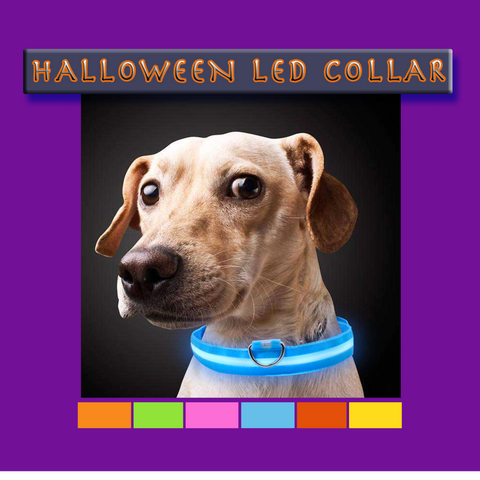 LED Glow Adjustable Dog Cat Collar for night visibility to keep your pet safe from oncoming cars, bicyclists, pedestrians and any outdoor activities. Orange LED collar makes Halloween fun for your Dog!