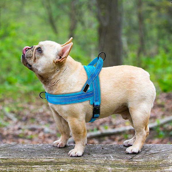 Reflective Dog's Dual Clip Harness with Soft Handle and Leash Set - No-Pull, No-Choke, Soft Padded with Reflective Trim and Soft Handle for medium to large breed.
