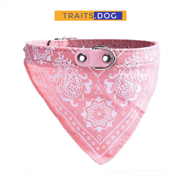 Classic American Paisley Dog Bandana Collar XX-Small to X-Large