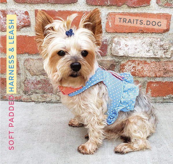 Sweet Pea - Soft Padded Vest Harness and Leash Set for Small Dog or Cat is made to distribute the pressure through the chest and shoulders, not on the neck.