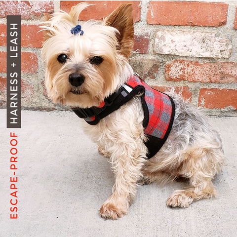Super Soft with mesh lining this Naughty Plaid Vest Harness and Leash Set is made for Dog and Cat. Escape-proof buckle is for naughty wigglers. This harness is Not Intended for strong pullers