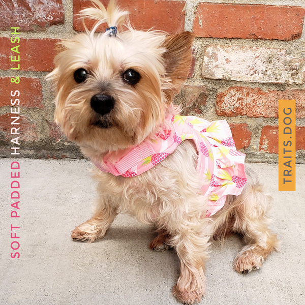 Sweet Pea - Soft Padded Vest Harness and Leash Set for Small Dog or Cat