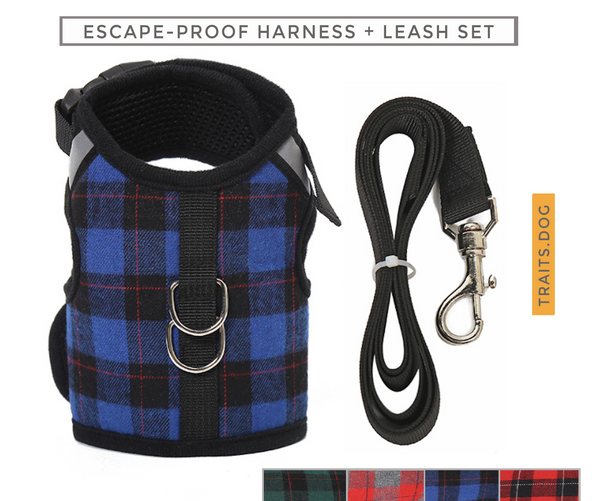 Naughty Plaid Adjustable Harness and Leash with Escape Proof Buckle for Dog and Cat