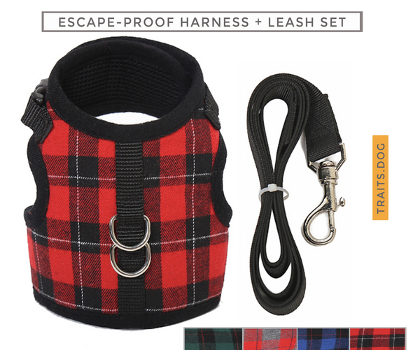Naughty Plaid Adjustable Harness and Leash with Escape Proof Buckle for Dog and Cat