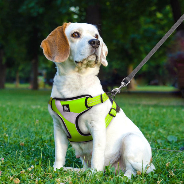 Well-constructed Reflective Dog's Vest Sport Vest Harness is made of premium quality, weatherproof materials and durable hardware. No pull, No choke - Safe, comfortable, convenient and durable for walking, running, hiking and riding in vehicles. NOT RECOMMENDED FOR DOGS UNDER 10 lbs.