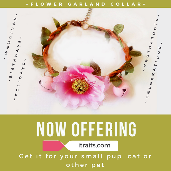 Flower Collar for Small Dog or Cat - Weddings, Birthdays and Holidays