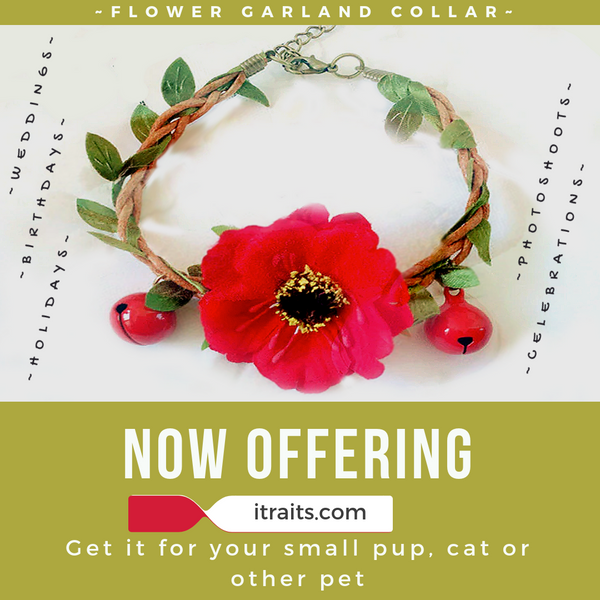 Flower Collar for Small Dog or Cat - Weddings, Birthdays and Holidays